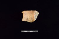 陶罐藏品圖，第2張